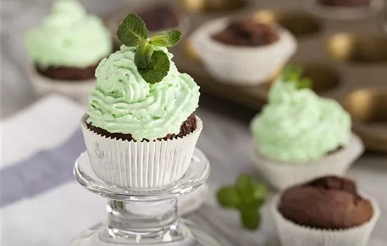 Schokoladen-Pfefferminz-Cupcakes