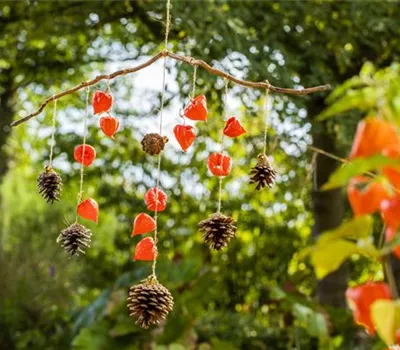 Ein herbstliches Windspiel aus Physalis und Tannenzapfen