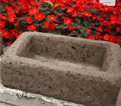 Blumengefäße - Herstellen aus Beton