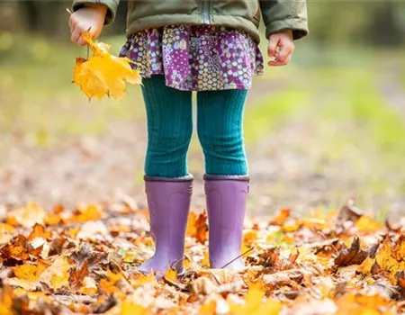 Gartenarbeit vor dem Winter - Vorbereitung für die kalte Jahreszeit