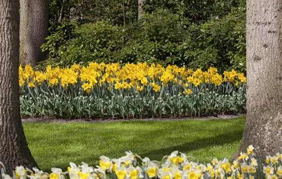 Das richtige Blumenbeet für den eigenen Garten