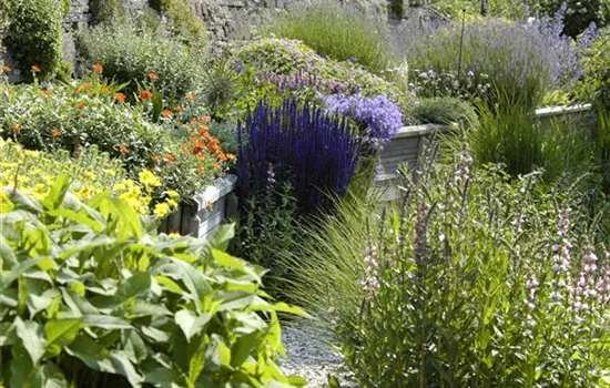 Das Staudenbeet – ein Blütenmeer im Garten