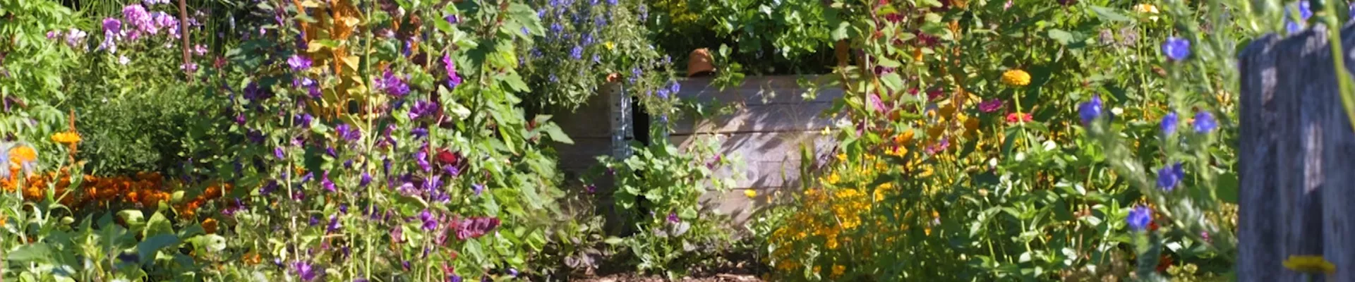 Gartengestaltung - Bauerngarten (Thumbnail).jpg